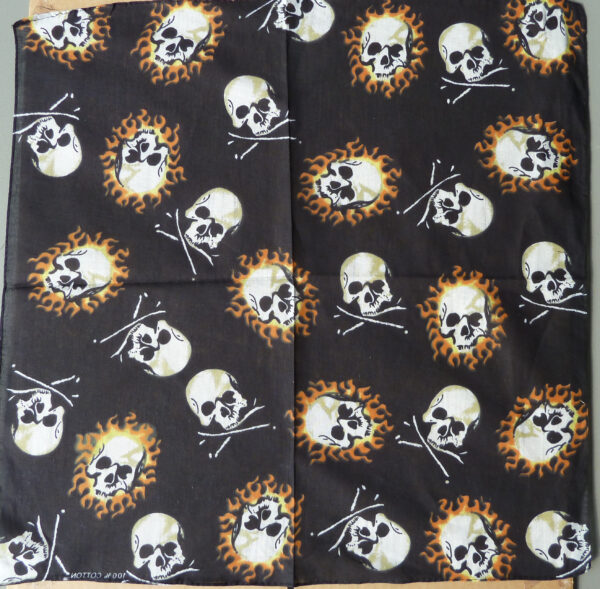 2x "Skull“ Bandana Free Postage